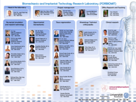 Organisational chart